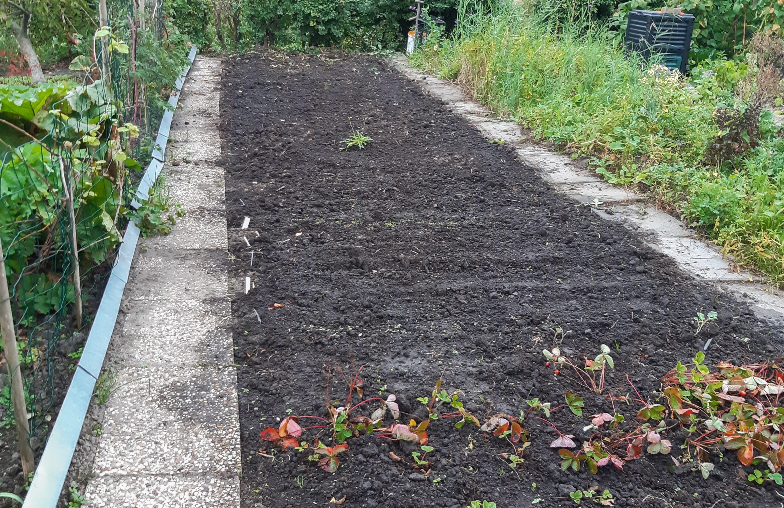 Moestuin Nr 9: Een Nieuw Begin